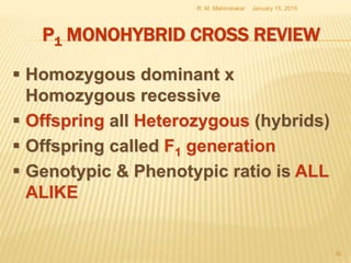 P1 MONOHYBRID CROSS REVIEW
 Homozygous dominant x
Homozygous recessive
 Offspring all Heterozygous (hybrids)
 Offspring called F1 generation
 Genotypic & Phenotypic ratio is ALL
ALIKE
January 15, 2015R. M. Mahindrakar
30
 