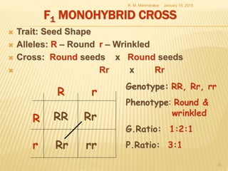 F1 MONOHYBRID CROSS
 Trait: Seed Shape
 Alleles: R – Round r – Wrinkled
 Cross: Round seeds x Round seeds
 Rr x Rr
January 15, 2015R. M. Mahindrakar
31
R
r
rR
RR
rrRr
Rr
Genotype: RR, Rr, rr
Phenotype: Round &
wrinkled
G.Ratio: 1:2:1
P.Ratio: 3:1
 
