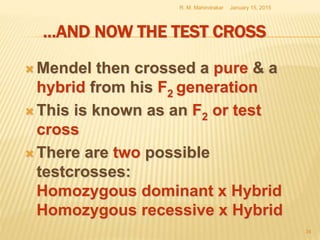 …AND NOW THE TEST CROSS
 Mendel then crossed a pure & a
hybrid from his F2 generation
 This is known as an F2 or test
cross
 There are two possible
testcrosses:
Homozygous dominant x Hybrid
Homozygous recessive x Hybrid
January 15, 2015R. M. Mahindrakar
34
 