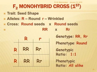 F2 MONOHYBRID CROSS (1ST)
 Trait: Seed Shape
 Alleles: R – Round r – Wrinkled
 Cross: Round seeds x Round seeds
 RR x Rr
January 15, 2015R. M. Mahindrakar
35
R
R
rR
RR
RrRR
Rr
Genotype: RR, Rr
Phenotype: Round
Genotypic
Ratio: 1:1
Phenotypic
Ratio: All alike
 