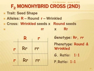 F2 MONOHYBRID CROSS (2ND)
 Trait: Seed Shape
 Alleles: R – Round r – Wrinkled
 Cross: Wrinkled seeds x Round seeds
 rr x Rr
January 15, 2015R. M. Mahindrakar
36
r
r
rR
Rr
rrRr
rr
Genotype: Rr, rr
Phenotype: Round &
Wrinkled
G. Ratio: 1:1
P.Ratio: 1:1
 