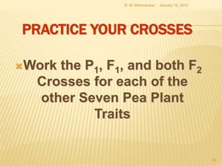PRACTICE YOUR CROSSES
Work the P1, F1, and both F2
Crosses for each of the
other Seven Pea Plant
Traits
January 15, 2015R. M. Mahindrakar
38
 