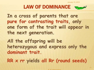 LAW OF DOMINANCE
January 15, 2015
41
In a cross of parents that are
pure for contrasting traits, only
one form of the trait will appear in
the next generation.
All the offspring will be
heterozygous and express only the
dominant trait.
RR x rr yields all Rr (round seeds)
 