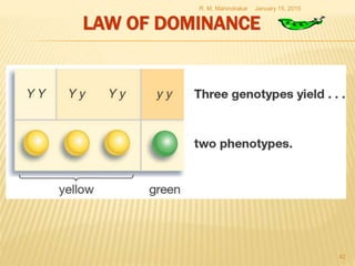 LAW OF DOMINANCE
January 15, 2015R. M. Mahindrakar
42
 