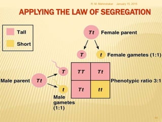January 15, 2015R. M. Mahindrakar
44
APPLYING THE LAW OF SEGREGATION
 