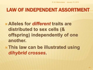 LAW OF INDEPENDENT ASSORTMENT
 Alleles for different traits are
distributed to sex cells (&
offspring) independently of one
another.
 This law can be illustrated using
dihybrid crosses.
January 15, 2015R. M. Mahindrakar
45
 