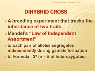 DIHYBRID CROSS
 A breeding experiment that tracks the
inheritance of two traits.
 Mendel’s “Law of Independent
Assortment”
 a. Each pair of alleles segregates
independently during gamete formation
 b. Formula: 2n (n = # of heterozygotes)
January 15, 2015R. M. Mahindrakar
46
 