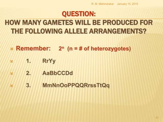 QUESTION:
HOW MANY GAMETES WILL BE PRODUCED FOR
THE FOLLOWING ALLELE ARRANGEMENTS?
 Remember: 2n (n = # of heterozygotes)
 1. RrYy
 2. AaBbCCDd
 3. MmNnOoPPQQRrssTtQq
January 15, 2015R. M. Mahindrakar
47
 