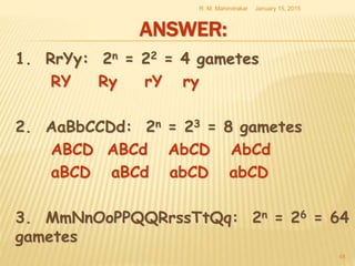 ANSWER:
January 15, 2015R. M. Mahindrakar
48
1. RrYy: 2n = 22 = 4 gametes
RY Ry rY ry
2. AaBbCCDd: 2n = 23 = 8 gametes
ABCD ABCd AbCD AbCd
aBCD aBCd abCD abCD
3. MmNnOoPPQQRrssTtQq: 2n = 26 = 64
gametes
 