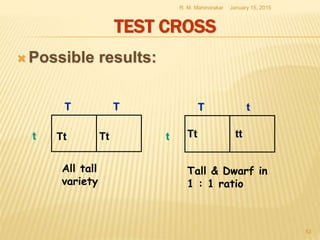 TEST CROSS
 Possible results:
January 15, 2015R. M. Mahindrakar
52
T T
t
T t
tTt Tt Tt tt
All tall
variety
Tall & Dwarf in
1 : 1 ratio
 