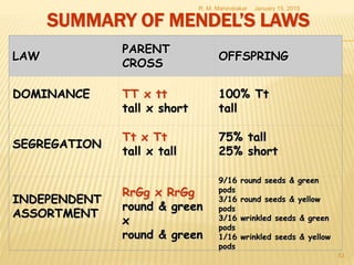 SUMMARY OF MENDEL’S LAWS
January 15, 2015R. M. Mahindrakar
53
LAW
PARENT
CROSS
OFFSPRING
DOMINANCE TT x tt
tall x short
100% Tt
tall
SEGREGATION
Tt x Tt
tall x tall
75% tall
25% short
INDEPENDENT
ASSORTMENT
RrGg x RrGg
round & green
x
round & green
9/16 round seeds & green
pods
3/16 round seeds & yellow
pods
3/16 wrinkled seeds & green
pods
1/16 wrinkled seeds & yellow
pods
 