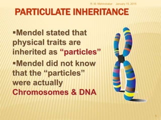 January 15, 2015R. M. Mahindrakar
6
Mendel stated that
physical traits are
inherited as “particles”
Mendel did not know
that the “particles”
were actually
Chromosomes & DNA
PARTICULATE INHERITANCE
 