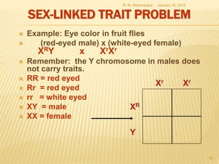 SEX-LINKED TRAIT PROBLEM
 Example: Eye color in fruit flies
 (red-eyed male) x (white-eyed female)
XRY x XrXr
 Remember: the Y chromosome in males does
not carry traits.
 RR = red eyed
 Rr = red eyed
 rr = white eyed
 XY = male
 XX = female
January 15, 2015R. M. Mahindrakar
64
XR
Xr Xr
Y
 