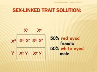 SEX-LINKED TRAIT SOLUTION:
January 15, 2015R. M. Mahindrakar
65
XR Xr
Xr Y
XR Xr
Xr Y
50% red eyed
female
50% white eyed
male
XR
Xr Xr
Y
 