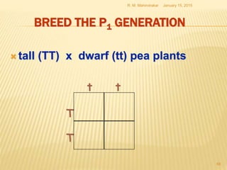 BREED THE P1 GENERATION
 tall (TT) x dwarf (tt) pea plants
January 15, 2015R. M. Mahindrakar
68
T
T
t t
 
