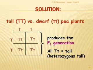 SOLUTION:
January 15, 2015R. M. Mahindrakar
69
T
T
t t
Tt
Tt
Tt
Tt All Tt = tall
(heterozygous tall)
produces the
F1 generation
tall (TT) vs. dwarf (tt) pea plants
 