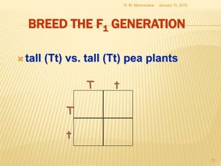 BREED THE F1 GENERATION
 tall (Tt) vs. tall (Tt) pea plants
January 15, 2015R. M. Mahindrakar
70
T
t
T t
 