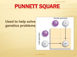 PUNNETT SQUARE
Used to help solve
genetics problems
January 15, 2015
R. M. Mahindrakar
9
 