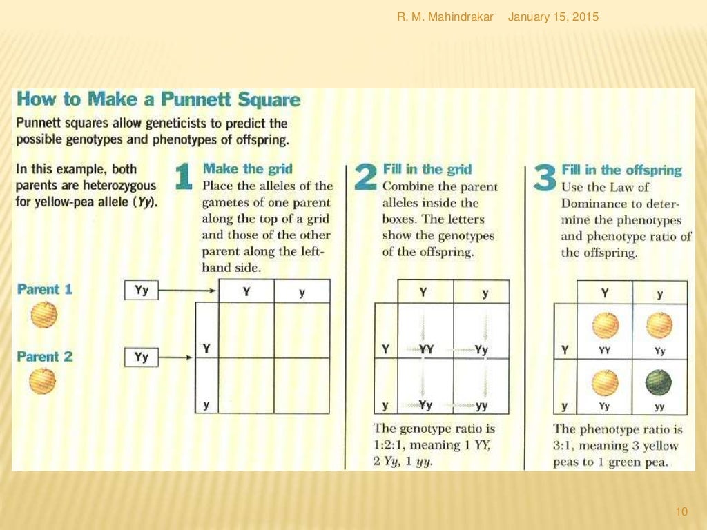 Genetics for NCERT class 12