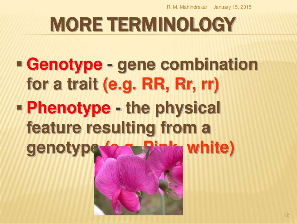 Genetics for NCERT class 12