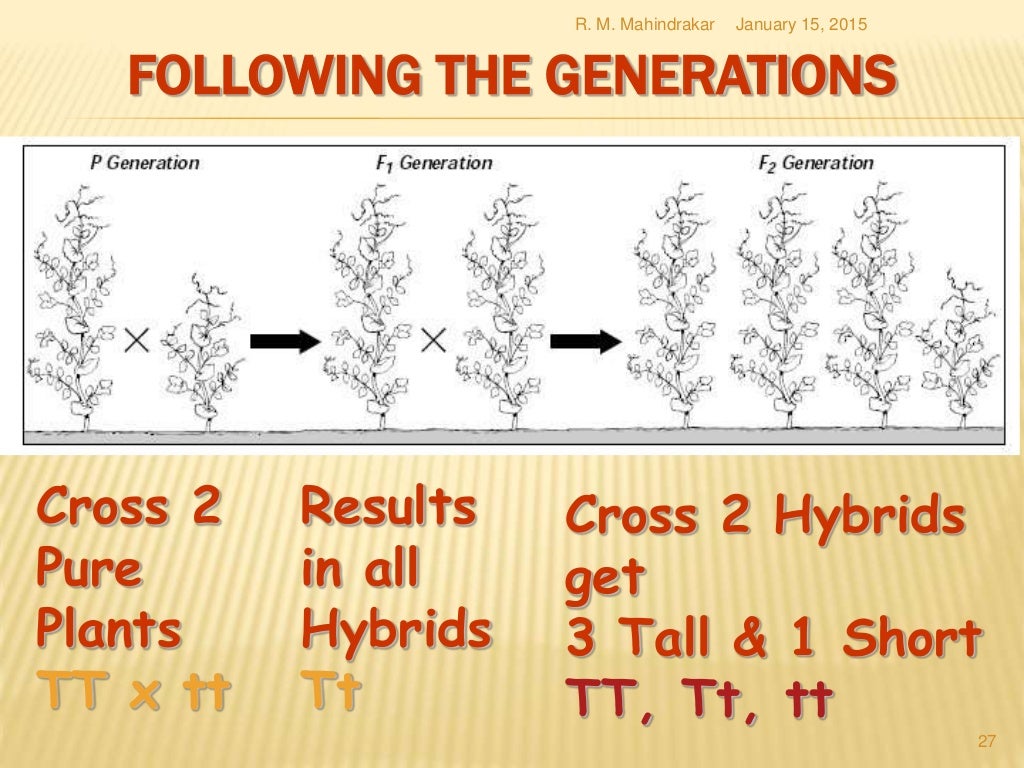 Genetics for NCERT class 12