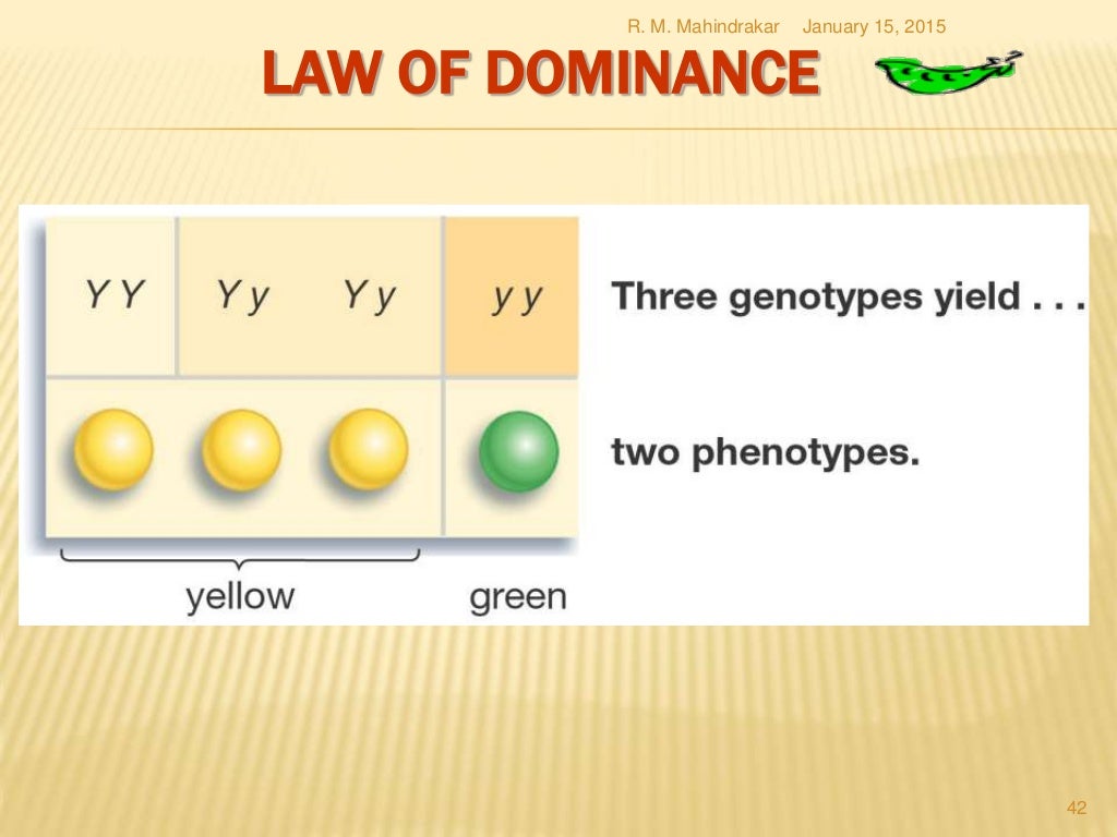 Genetics for NCERT class 12
