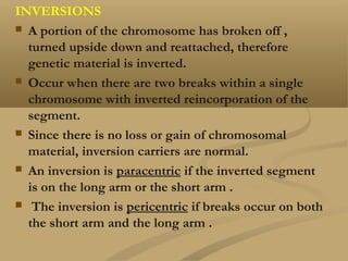 Genetics | PPT