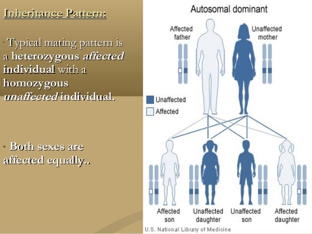Genetics common carrier diagram 