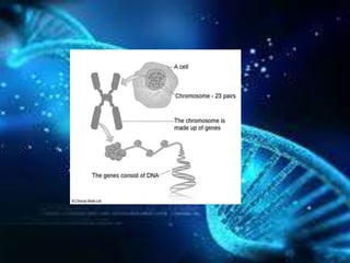 Genetics | PPTX