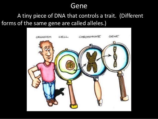 ESL Genetics