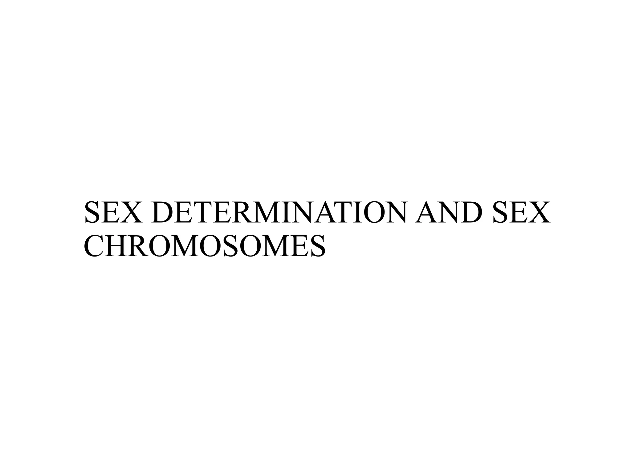 SEX DETERMINATION AND SEX
CHROMOSOMES
 