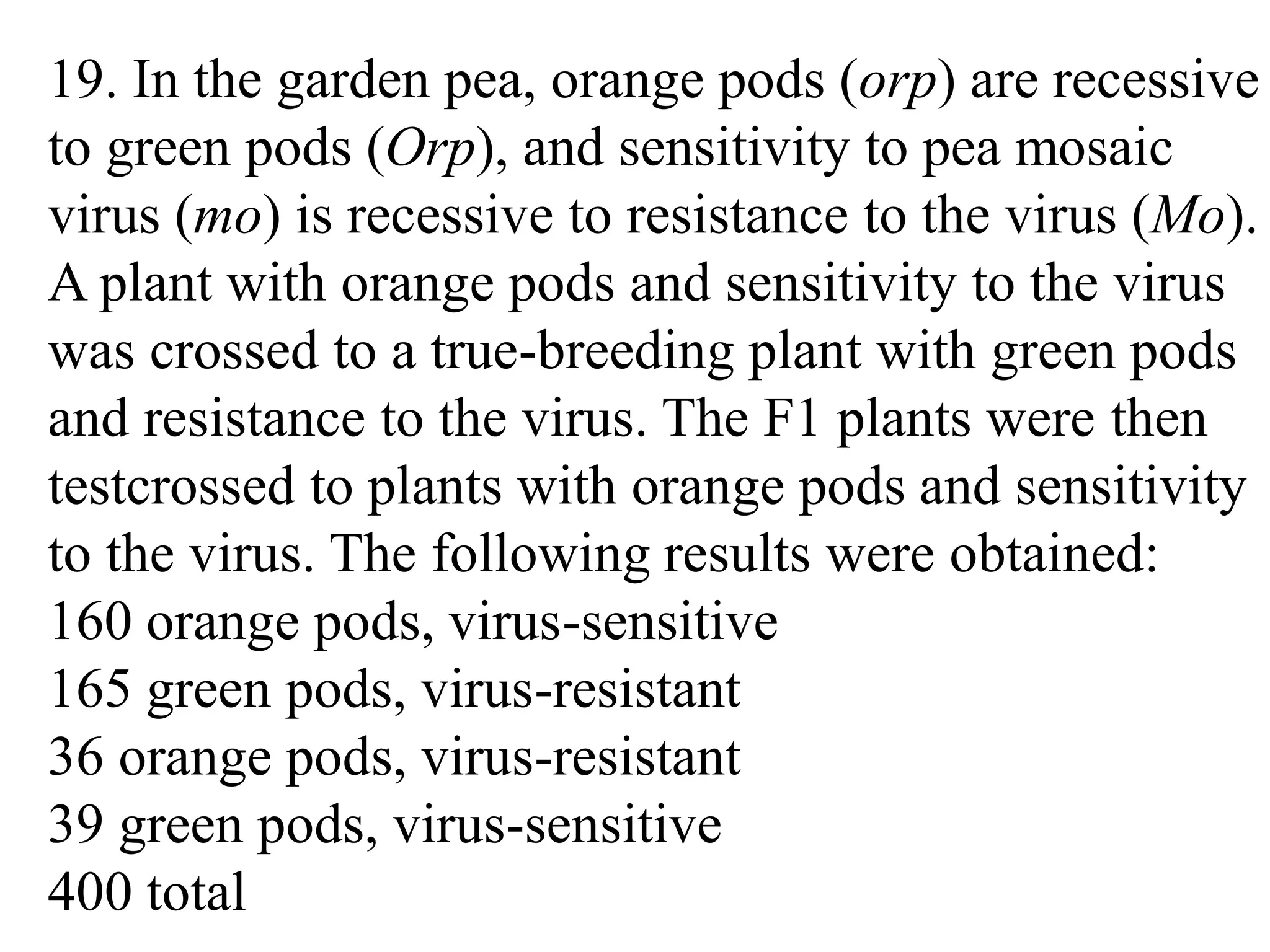 19. In the garden pea, orange pods (orp) are recessive
to green pods (Orp), and sensitivity to pea mosaic
virus (mo) is recessive to resistance to the virus (Mo).
A plant with orange pods and sensitivity to the virus
was crossed to a true-breeding plant with green pods
and resistance to the virus. The F1 plants were then
testcrossed to plants with orange pods and sensitivity
to the virus. The following results were obtained:
160 orange pods, virus-sensitive
165 green pods, virus-resistant
36 orange pods, virus-resistant
39 green pods, virus-sensitive
400 total
 