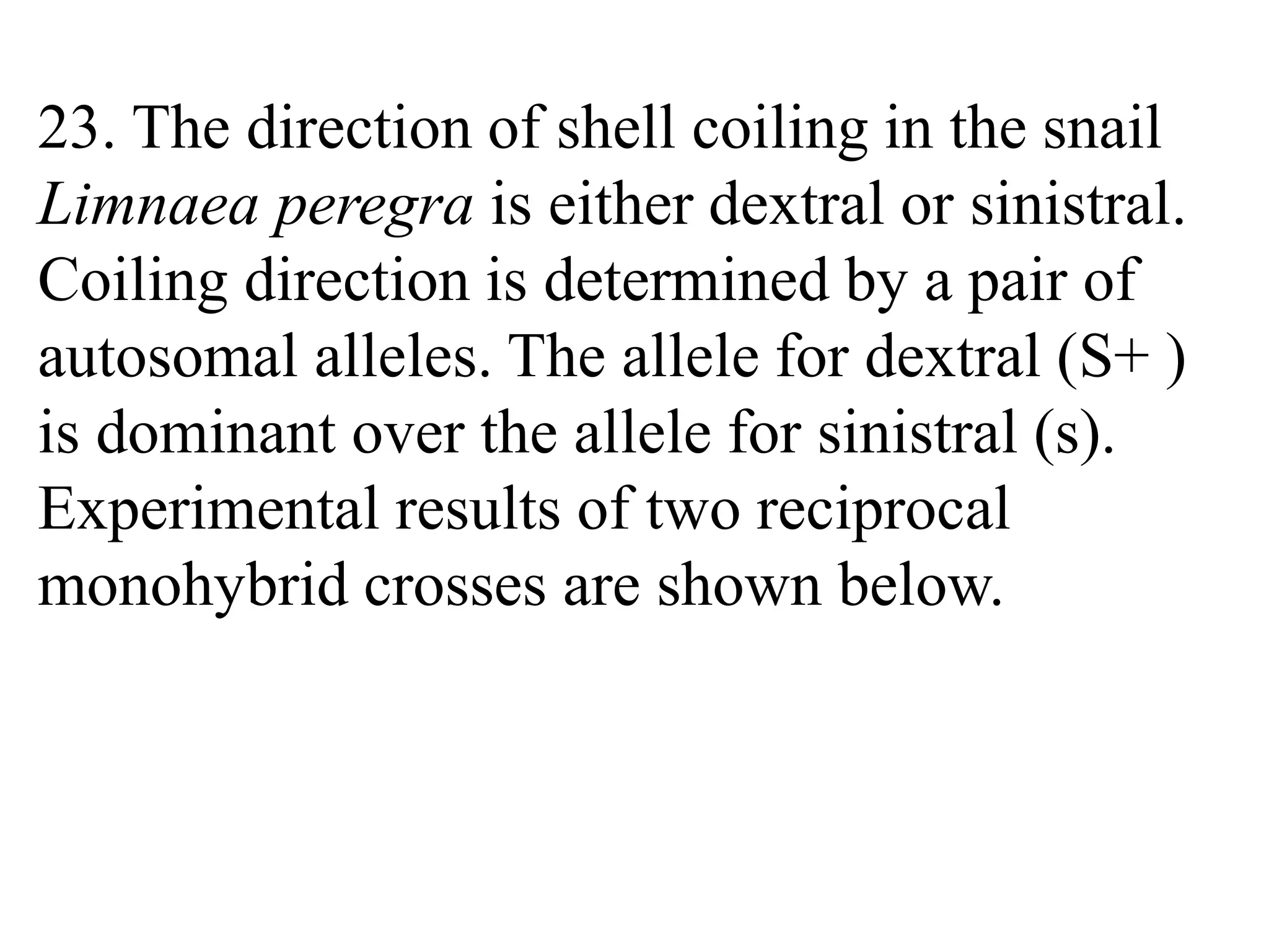 23. The direction of shell coiling in the snail
Limnaea peregra is either dextral or sinistral.
Coiling direction is determined by a pair of
autosomal alleles. The allele for dextral (S+ )
is dominant over the allele for sinistral (s).
Experimental results of two reciprocal
monohybrid crosses are shown below.
 