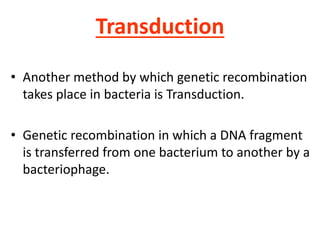Transduction
• Another method by which genetic recombination
takes place in bacteria is Transduction.
• Genetic recombination in which a DNA fragment
is transferred from one bacterium to another by a
bacteriophage.
 
