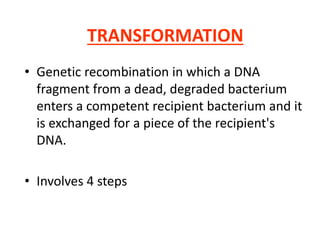 TRANSFORMATION
• Genetic recombination in which a DNA
fragment from a dead, degraded bacterium
enters a competent recipient bacterium and it
is exchanged for a piece of the recipient's
DNA.
• Involves 4 steps
 