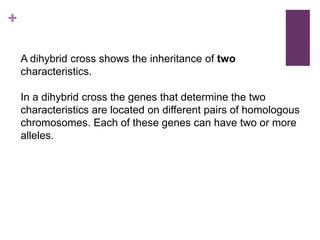 +
A dihybrid cross shows the inheritance of two
characteristics.
In a dihybrid cross the genes that determine the two
characteristics are located on different pairs of homologous
chromosomes. Each of these genes can have two or more
alleles.
 
