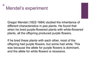 +
Mendel’s experiment
Gregor Mendel (1822-1884) studied the inheritance of
different characteristics in pea plants. He found that
when he bred purple-flowered plants with white-flowered
plants, all the offspring produced purple flowers.
If he bred these plants with each other, most of the
offspring had purple flowers, but some had white. This
was because the allele for purple flowers is dominant,
and the allele for white flowers is recessive.
 