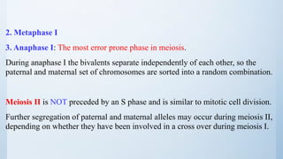 2. Metaphase I
3. Anaphase I: The most error prone phase in meiosis.
During anaphase I the bivalents separate independently of each other, so the
paternal and maternal set of chromosomes are sorted into a random combination.
Meiosis II is NOT preceded by an S phase and is similar to mitotic cell division.
Further segregation of paternal and maternal alleles may occur during meiosis II,
depending on whether they have been involved in a cross over during meiosis I.
 