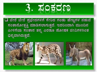 10th Science chapter 19, Animal Husbandry: Sasya mattu Pranigalalli t…
