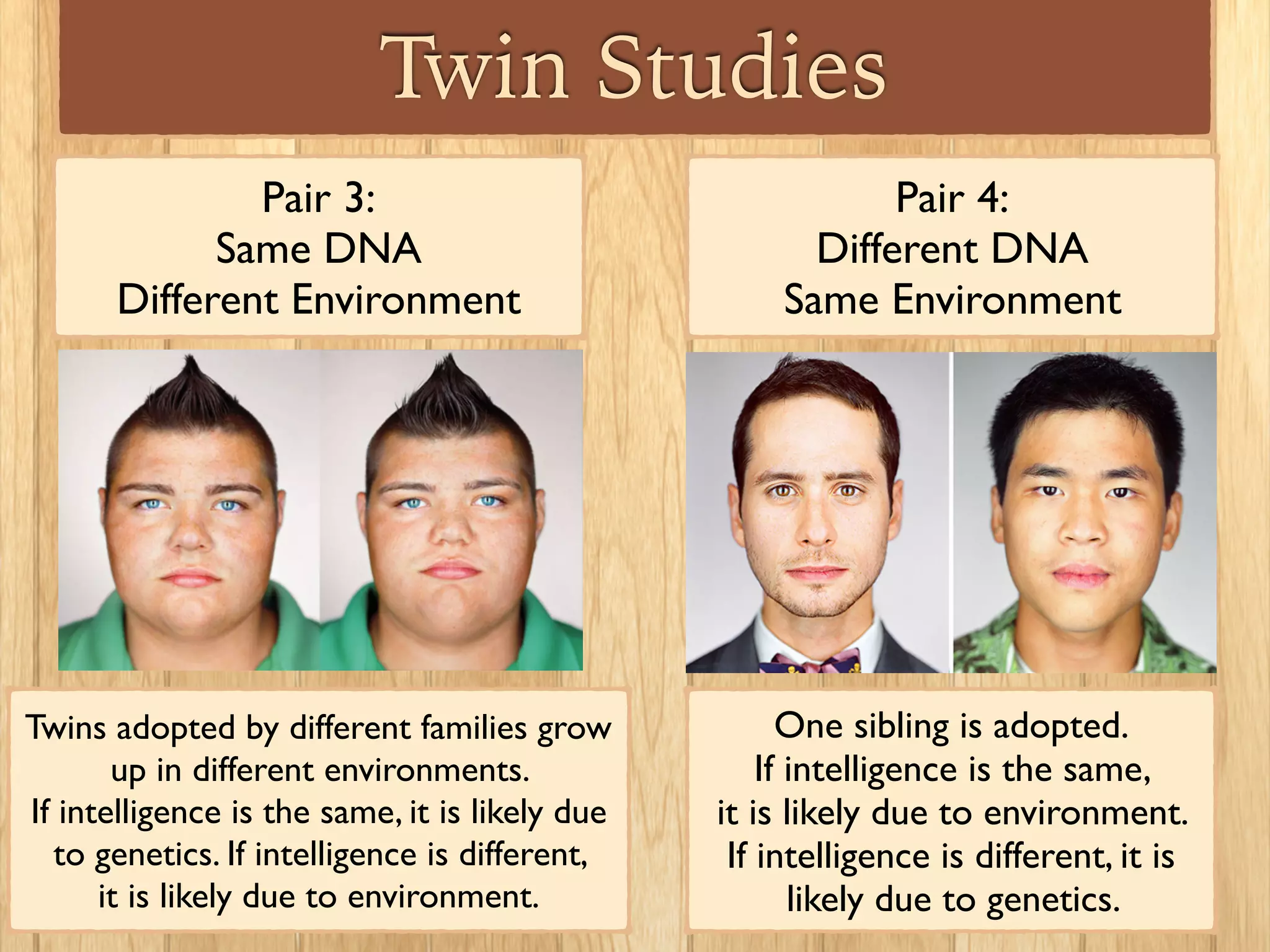 Twin Studies
Pair 4:
Different DNA
Same Environment
One sibling is adopted.
If intelligence is the same,
it is likely due to environment.
If intelligence is different, it is
likely due to genetics.
Pair 3:
Same DNA
Different Environment
Twins adopted by different families grow
up in different environments.
If intelligence is the same, it is likely due
to genetics. If intelligence is different,
it is likely due to environment.
 