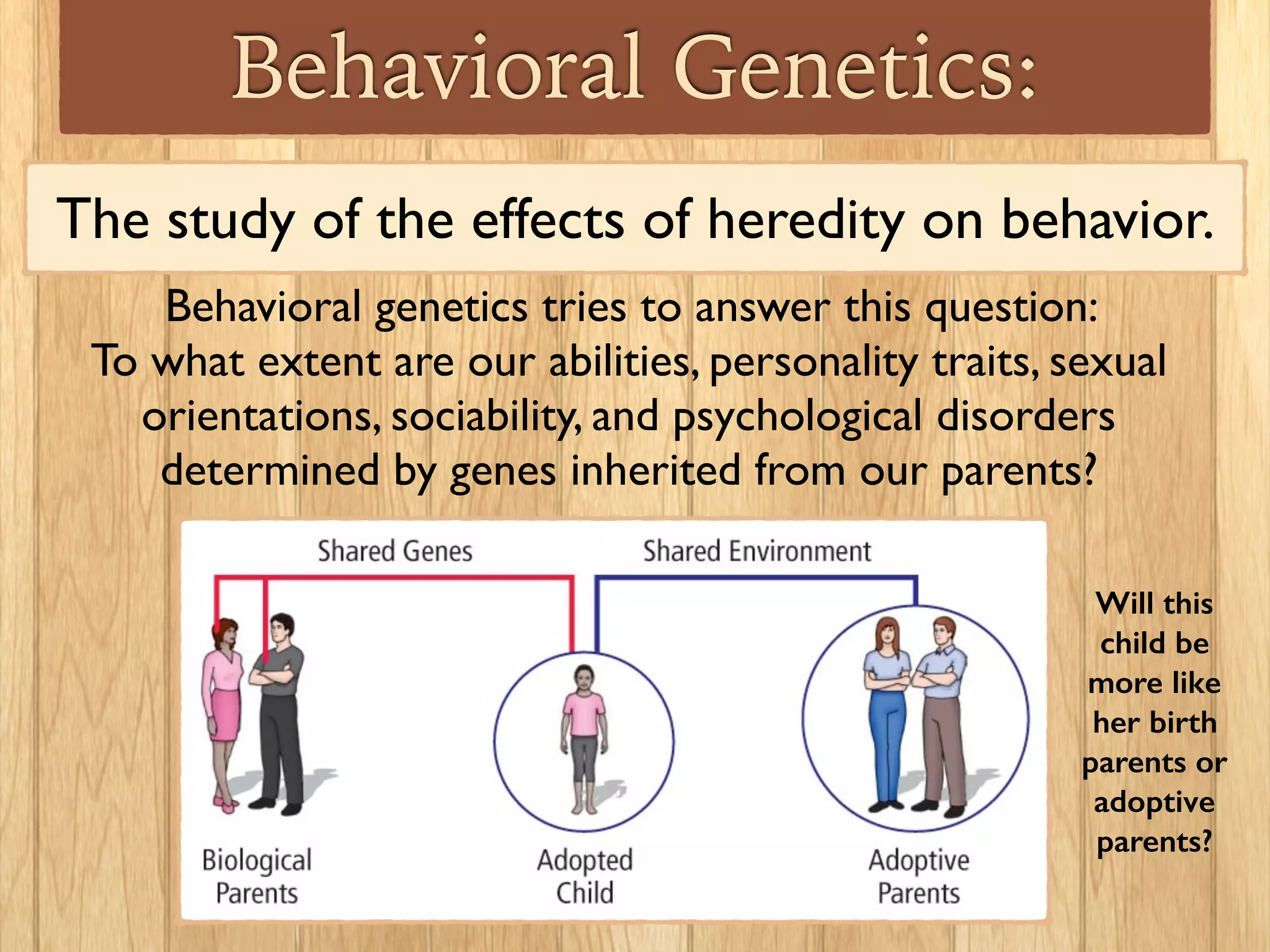 Behavioral Genetics:
The study of the effects of heredity on behavior.
Behavioral genetics tries to answer this question:
To what extent are our abilities, personality traits, sexual
orientations, sociability, and psychological disorders
determined by genes inherited from our parents?
Will this
child be
more like
her birth
parents or
adoptive
parents?
 