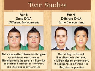 Twin Studies
Pair 4:
Different DNA
Same Environment
One sibling is adopted.
If intelligence is the same,
it is likely due to environment.
If intelligence is different, it is
likely due to genetics.
Pair 3:
Same DNA
Different Environment
Twins adopted by different families grow
up in different environments.
If intelligence is the same, it is likely due
to genetics. If intelligence is different,
it is likely due to environment.
 