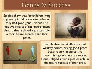 Genes & Success
Studies show that for children living
in poverty, it did not matter whether
they had good genes or not.The
negative impact of the environment
almost always played a greater role
in their future success than their
genes.
For children in middle class and
wealthy homes, having good genes
became very important to
determining their future success.
Genes played a much greater role in
the future success of each child.
 