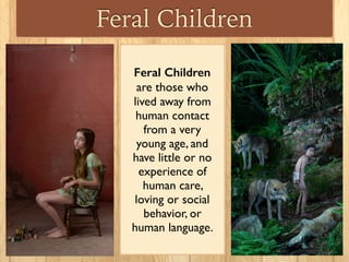 Feral Children
Feral Children
are those who
lived away from
human contact
from a very
young age, and
have little or no
experience of
human care,
loving or social
behavior, or
human language.
 