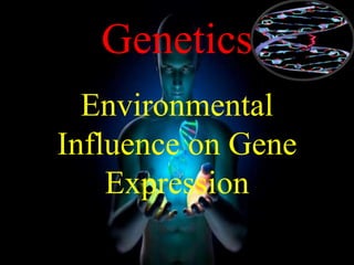 Genetics
Environmental
Influence on Gene
Expression
 