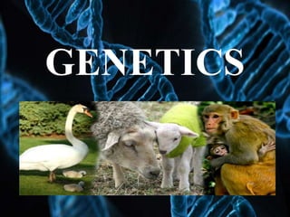GENETICS
 