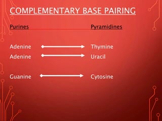 COMPLEMENTARY BASE PAIRING
Purines Pyramidines
Adenine Thymine
Adenine Uracil
Guanine Cytosine
 