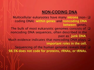 NON-CODING DNA
Multicellular eukaryotes have many introns(non-
coding DNA) within genes and noncoding DNA
between genes.
...