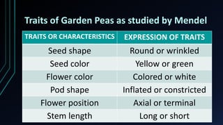 Traits of Garden Peas as studied by Mendel
TRAITS OR CHARACTERISTICS EXPRESSION OF TRAITS
Seed shape Round or wrinkled
Seed color Yellow or green
Flower color Colored or white
Pod shape Inflated or constricted
Flower position Axial or terminal
Stem length Long or short
 