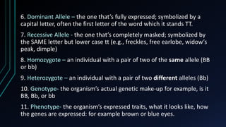 6. Dominant Allele – the one that’s fully expressed; symbolized by a
capital letter, often the first letter of the word which it stands TT.
7. Recessive Allele - the one that’s completely masked; symbolized by
the SAME letter but lower case tt (e.g., freckles, free earlobe, widow’s
peak, dimple)
8. Homozygote – an individual with a pair of two of the same allele (BB
or bb)
9. Heterozygote – an individual with a pair of two different alleles (Bb)
10. Genotype- the organism’s actual genetic make-up for example, is it
BB, Bb, or bb
11. Phenotype- the organism’s expressed traits, what it looks like, how
the genes are expressed: for example brown or blue eyes.
 